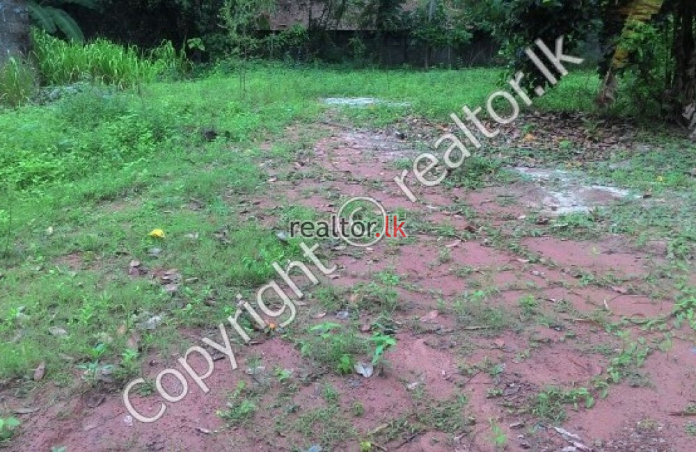 Ramanayake Mawatha Land For Sale