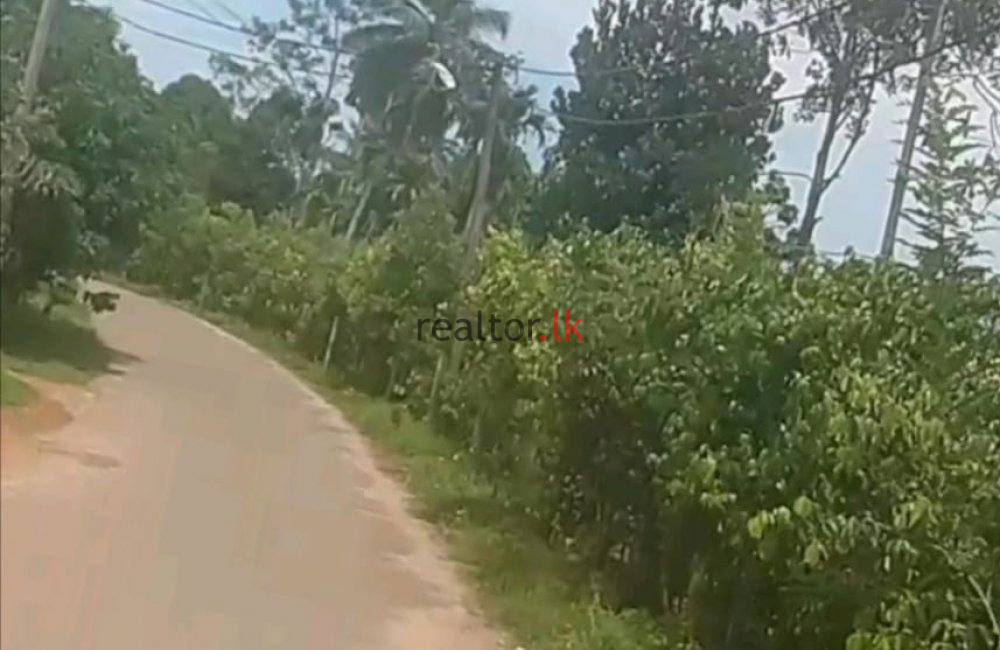 Elipitiya Land For Sale