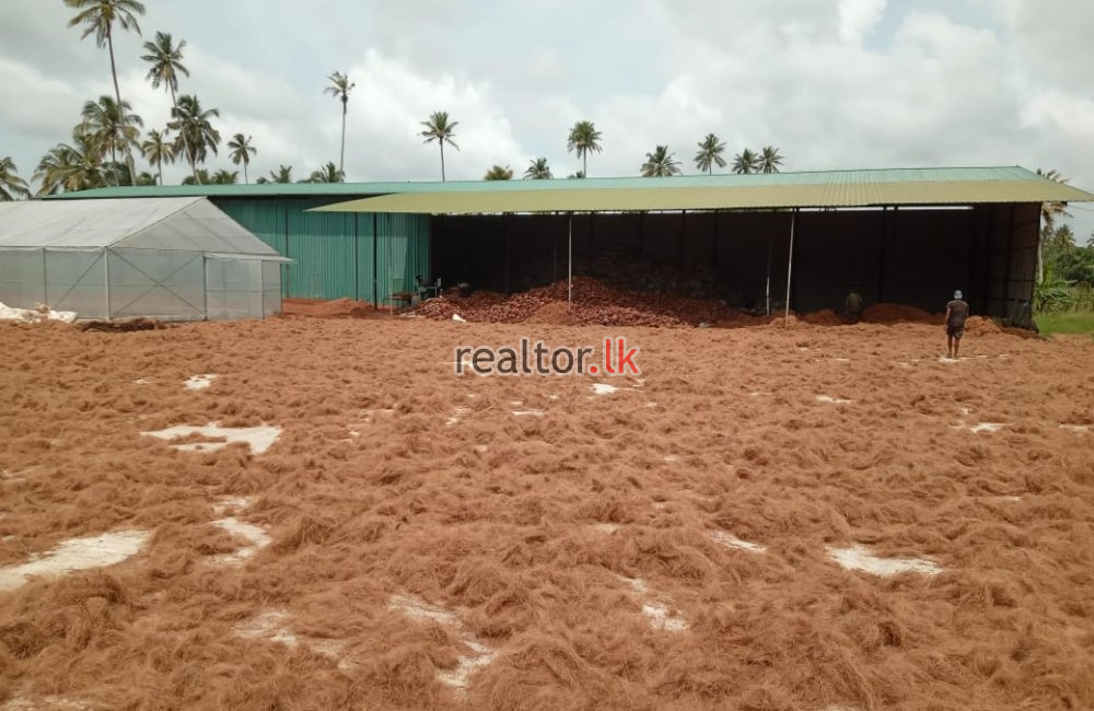 Facing Padiwela Rd Land For Sale In Kuliyapitiya