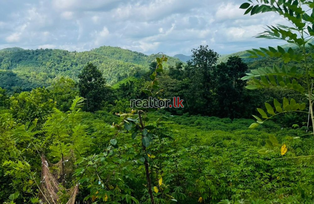 Rubber Estate For Sale At Kirindiwela