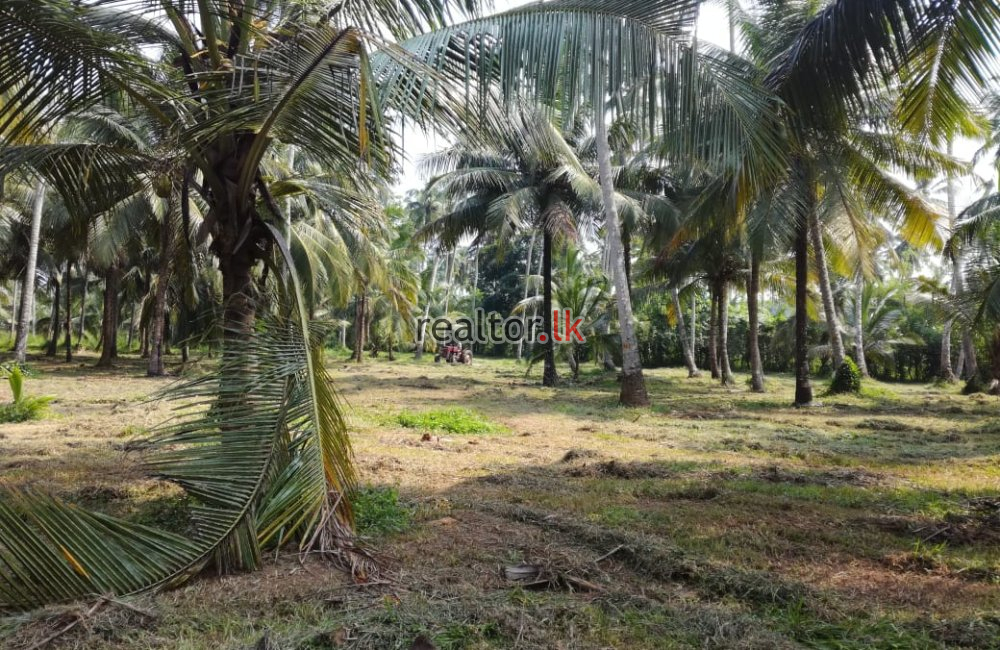 Facing Maha Oya Negombo Land For Sale