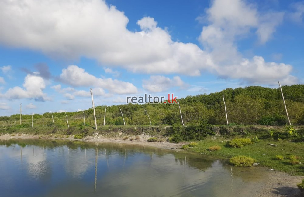 Lagoonfront Land Facing Main Road Kalpitiya