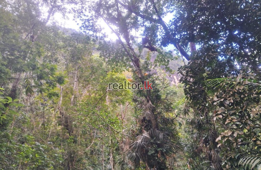 Land For Sale At Deraniyagala