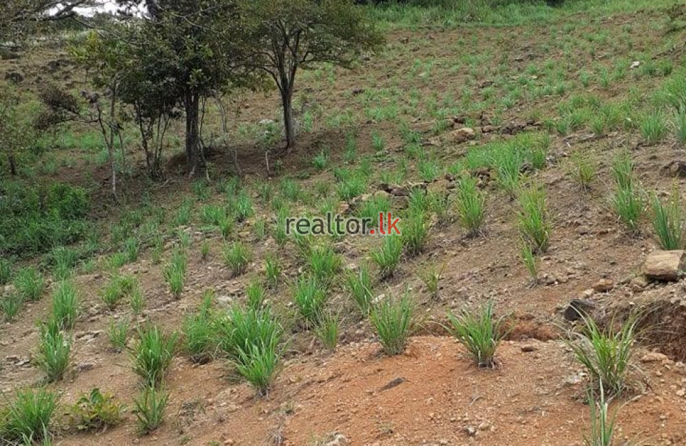 Agricultural Land For Sale At Matale