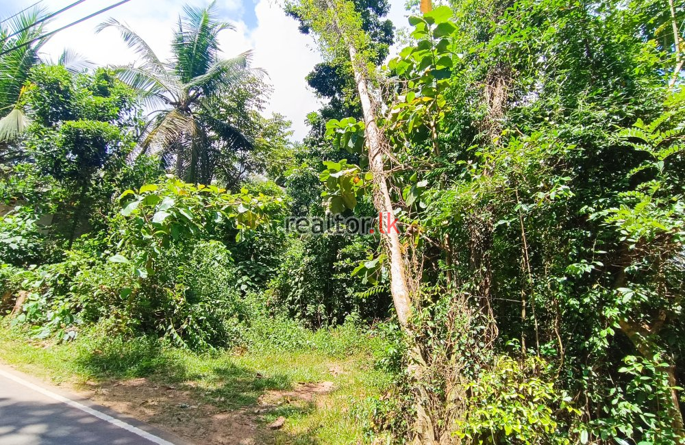 Commercial Land For Rent At Wadduwa