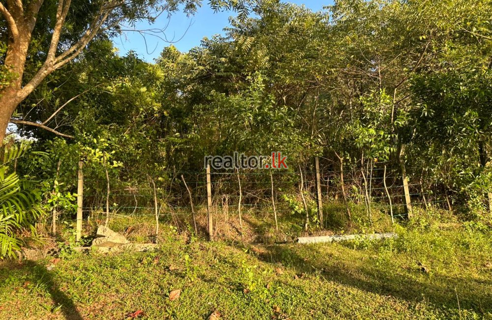 Facing Bolgoda Lake Land At Madapatha