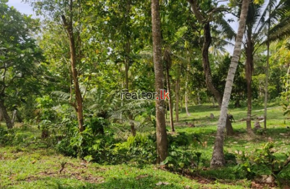 Land For Sale At Ahangama