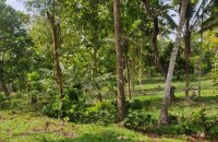 Land For Sale At Ahangama