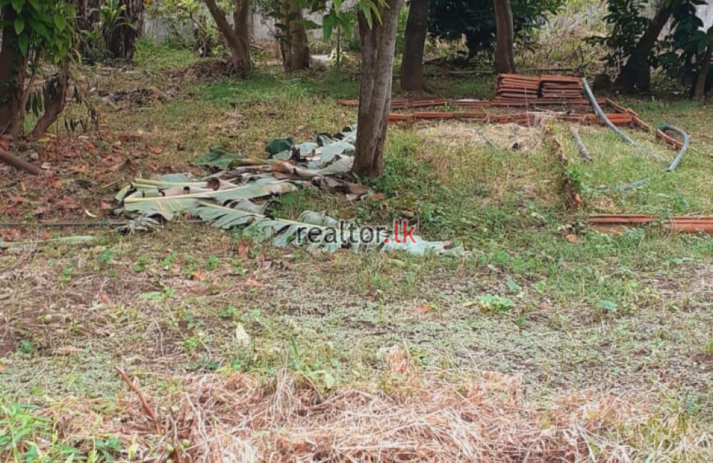 Land For Sale At De Soysa Avenue Mount Lavinia