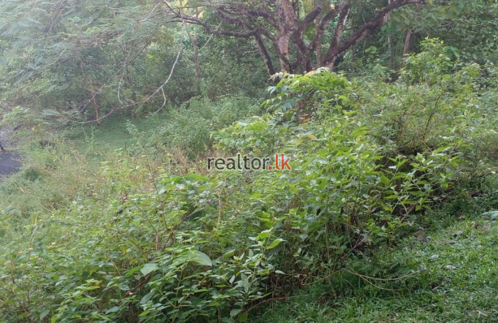 Facing Bolgoda Lake Land For Sale