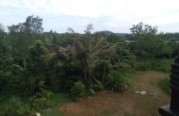 Bodering Koggala Lake Land For Sale