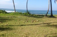 Beach Front Land For Sale At Galle