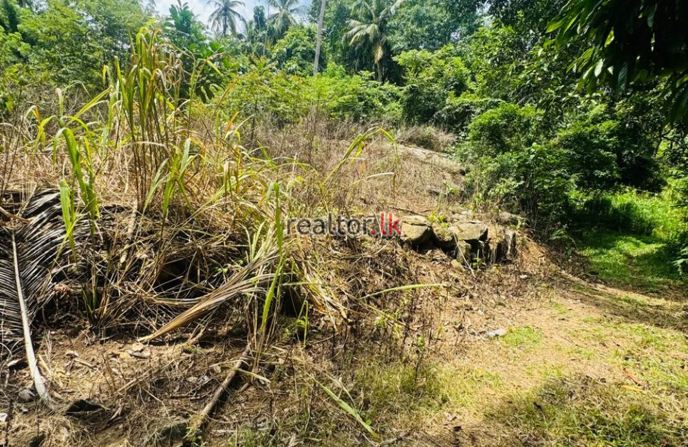 Prime Land For Sale At Weligama
