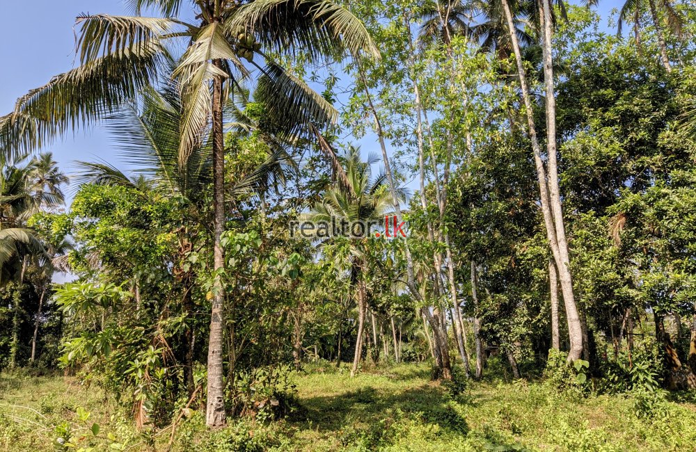 Land For Sale At Artigala Rd Meegoda