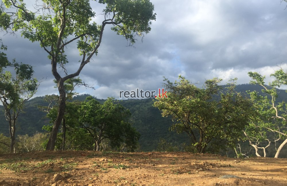 Land For Sale With Breathtaking Views In Ella