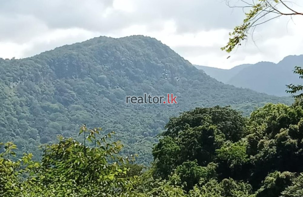 Laggala Land For Sale