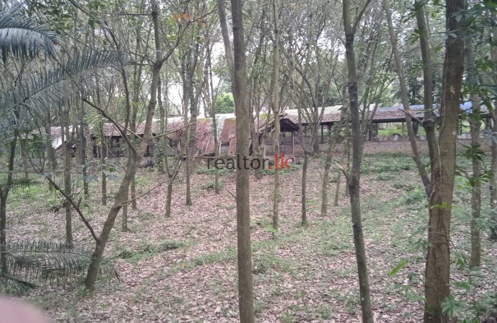 Pugoda Road Land For Sale