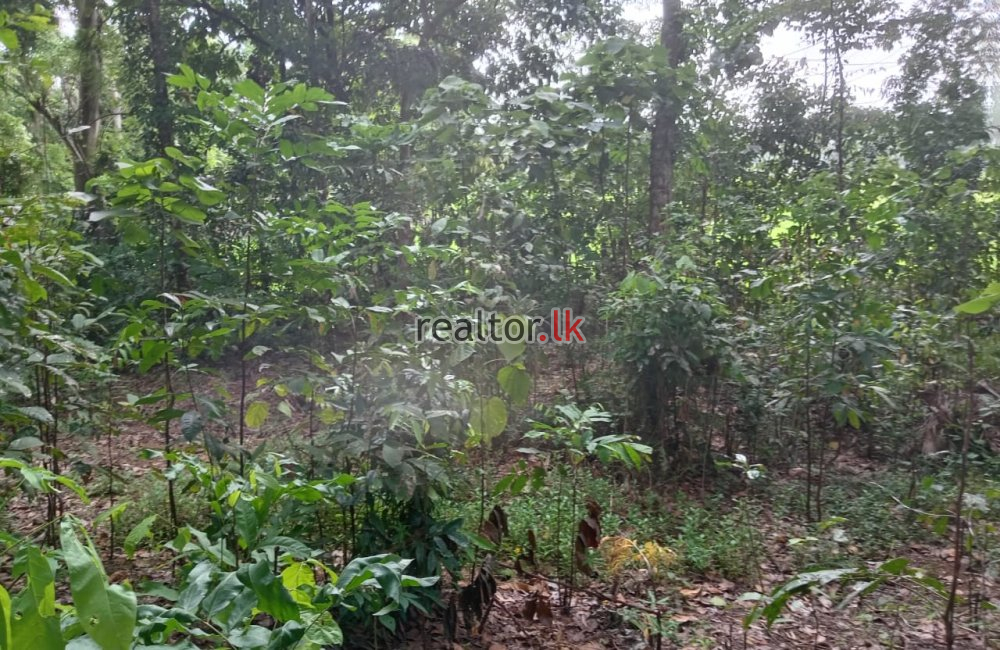 Land For Sale In Yatagala Unawatuna