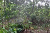 Land For Sale In Yatagala Unawatuna