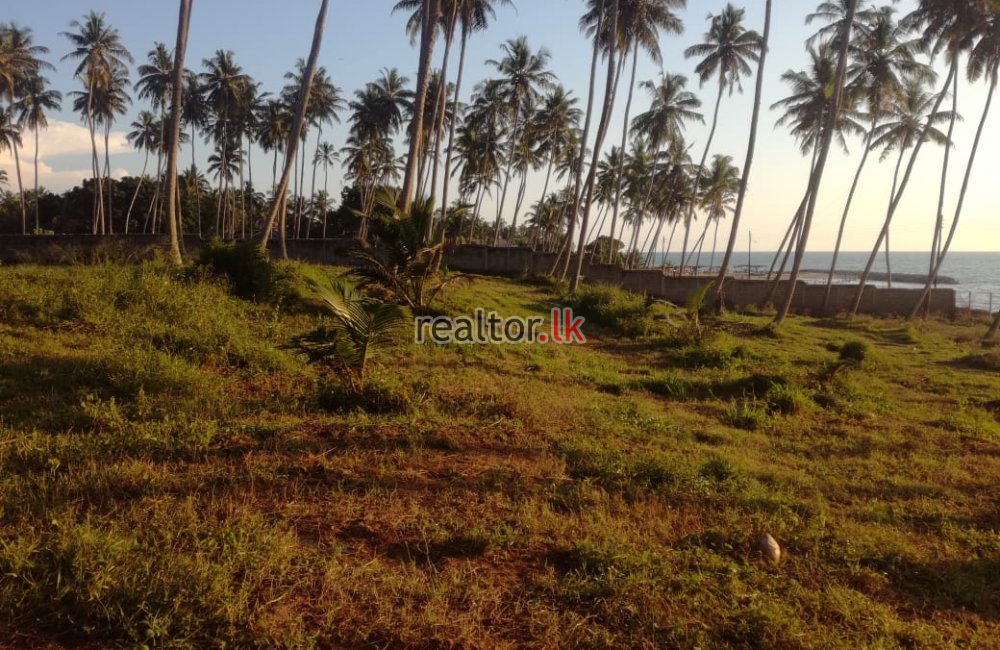 23 Acres Beach Front Land For Sale In Marawila