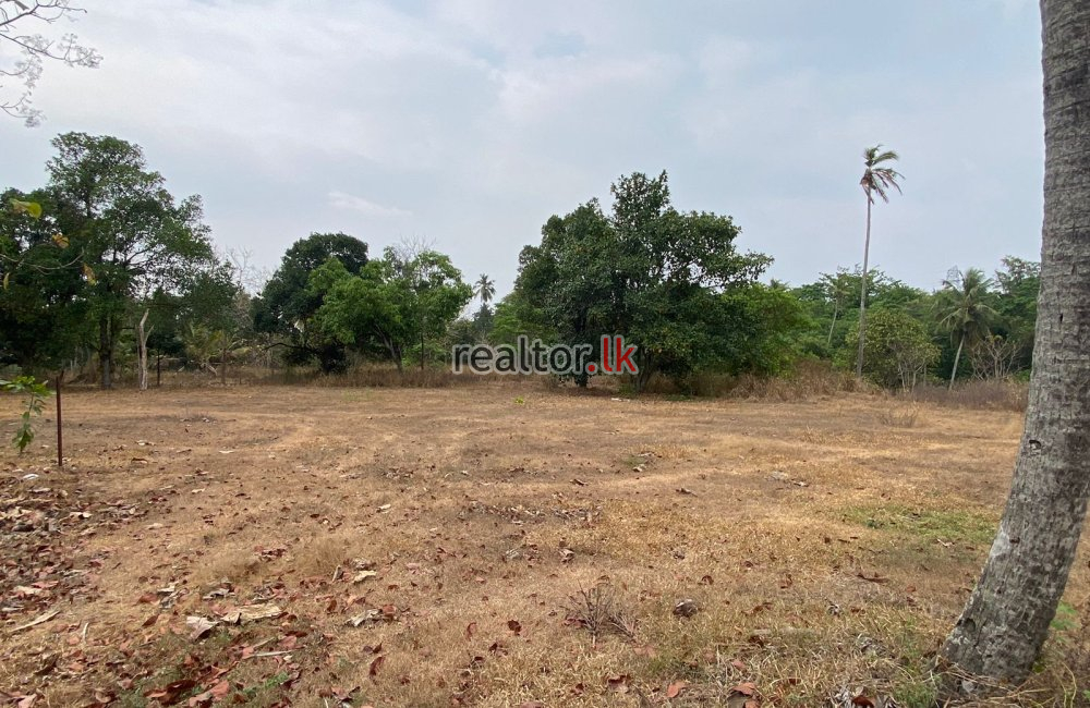 Industrial Land For Rent Adjoining Katunayake FTZ