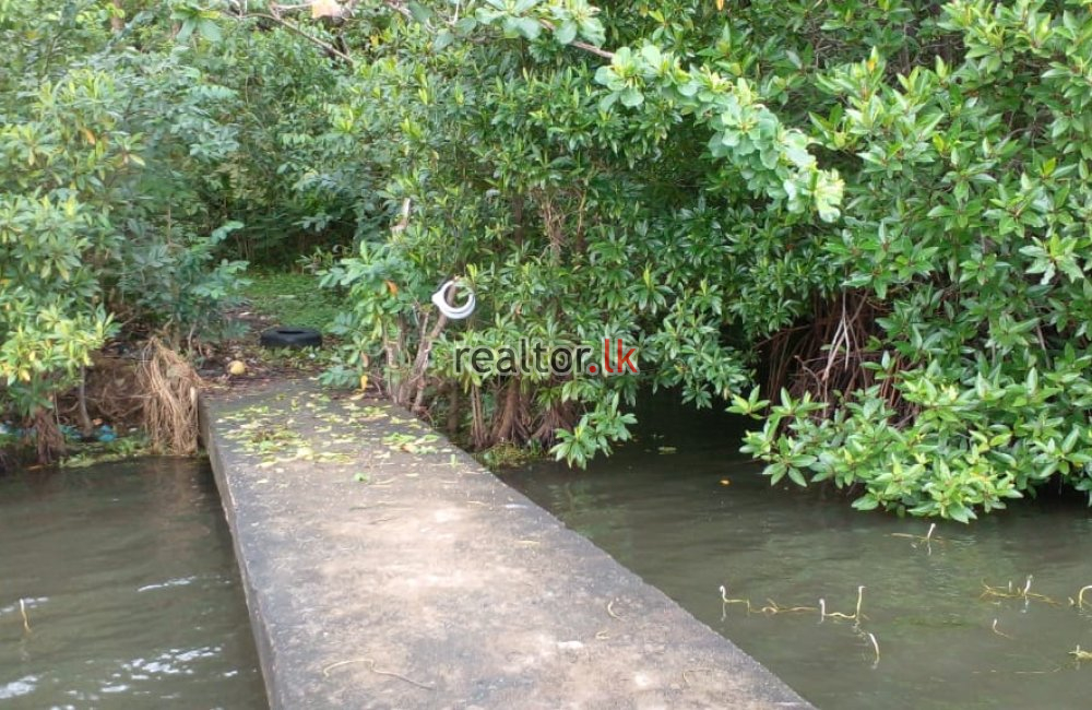 Facing Bolgoda Lake Land For Sale