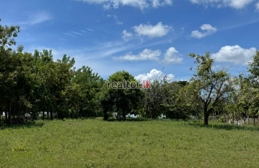 Beachfront Land For Sale In Thakkandi Nilaweli