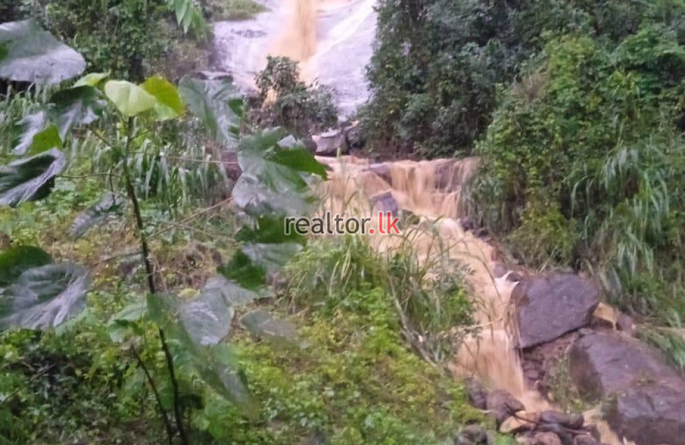 Mixed Estate For Sale In Dodangaslanda Kurunegala