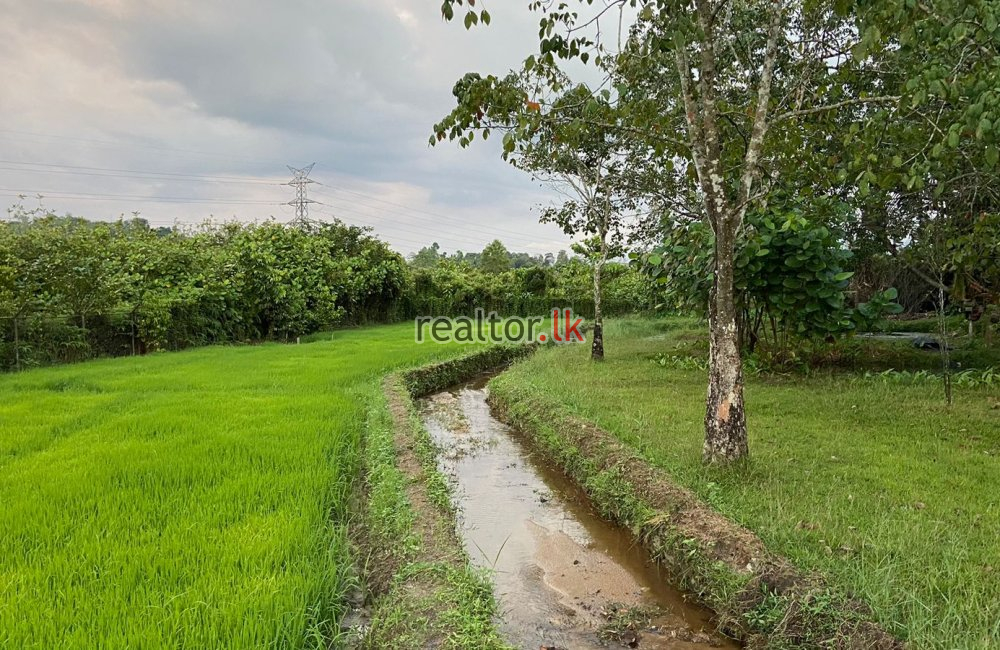 Paddy Land For Sale In Horana