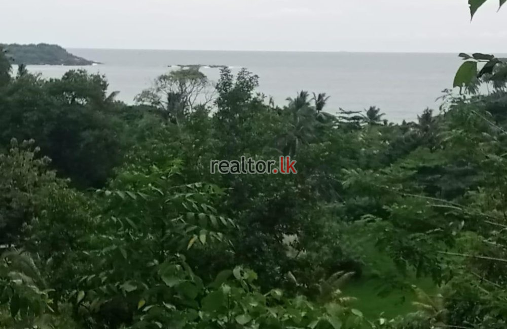 Land For Sale At Hiriketiya