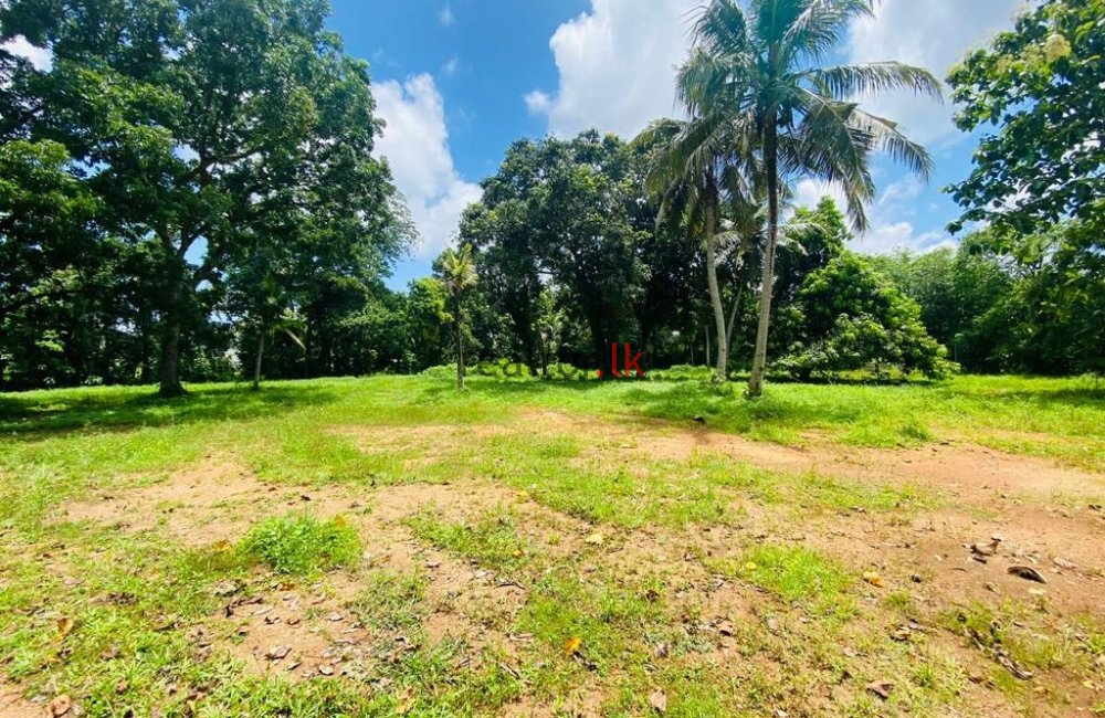 Maovita Road Land For Sale