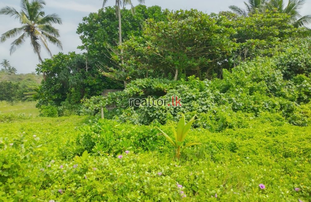 Seaview Land For Sale In Kahawa Hikkaduwa