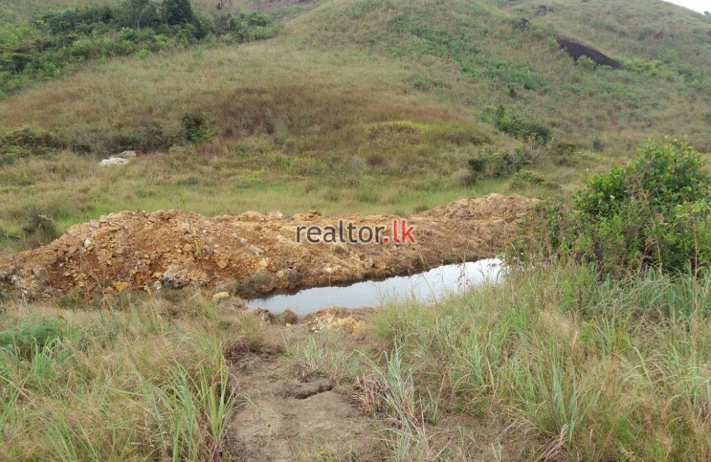 Land For Sale In Nawalapitiya