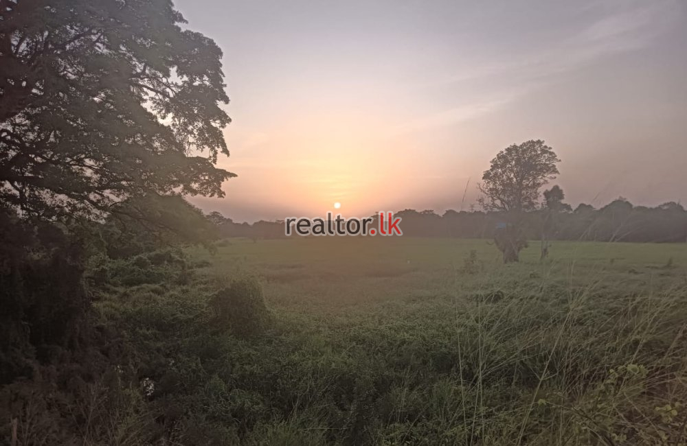 Lakefront Land For Sale At Sigiriya