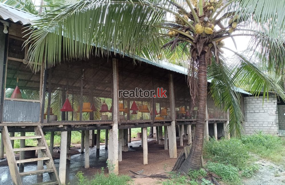 Mix Plant Estate For Sale At Puttalam