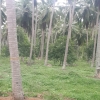 Land At Kurunegala