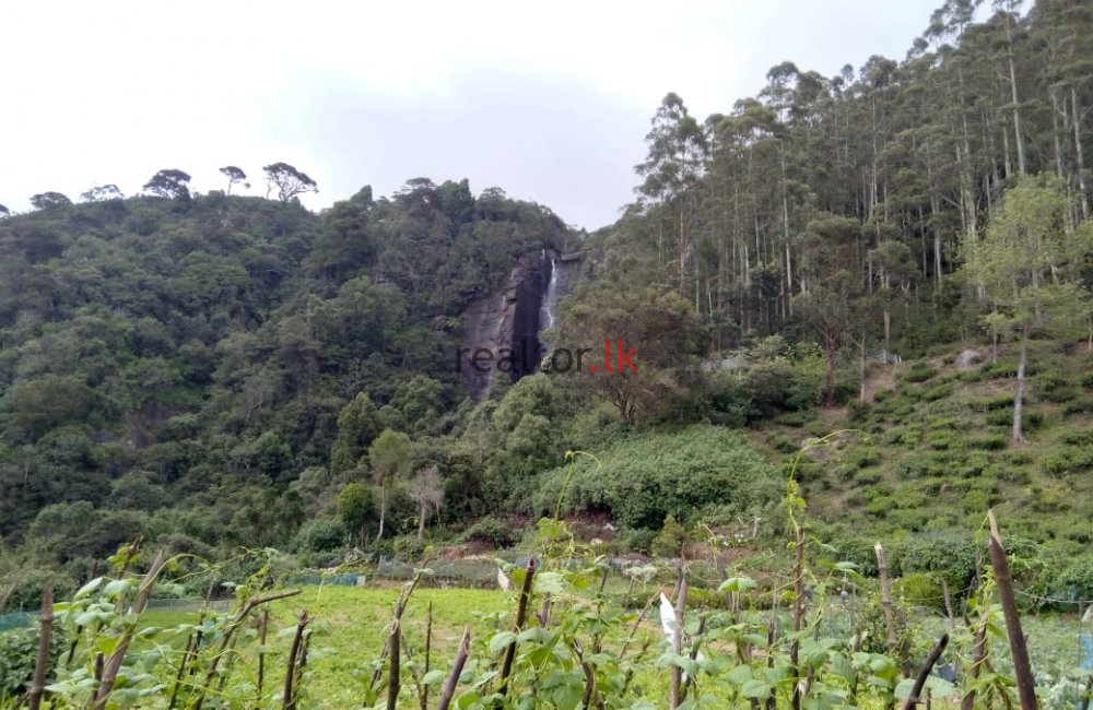 Nuwara Eliya Land For Sale