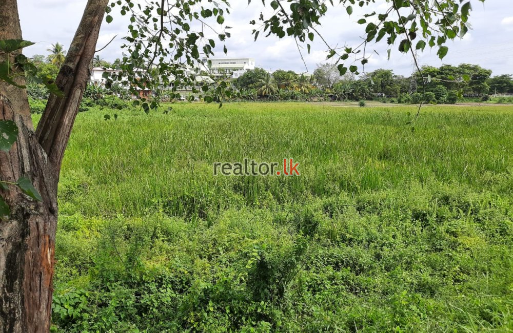 Koswatta Road Land For Sale