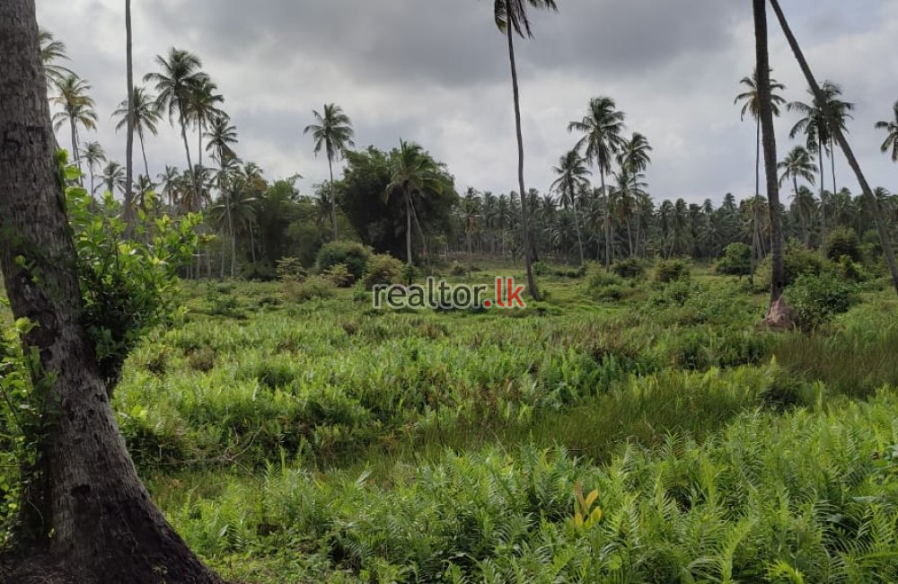 Land For Sale In Sandalankawa Pannala