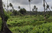 Land For Sale In Sandalankawa Pannala