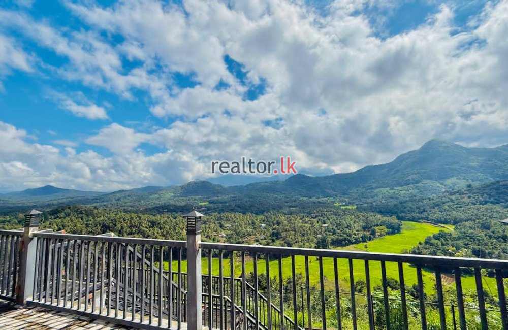 Mixed Estate Cultivation For Sale In Matale