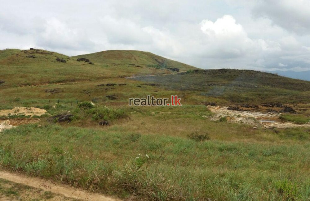 Land For Sale In Nawalapitiya