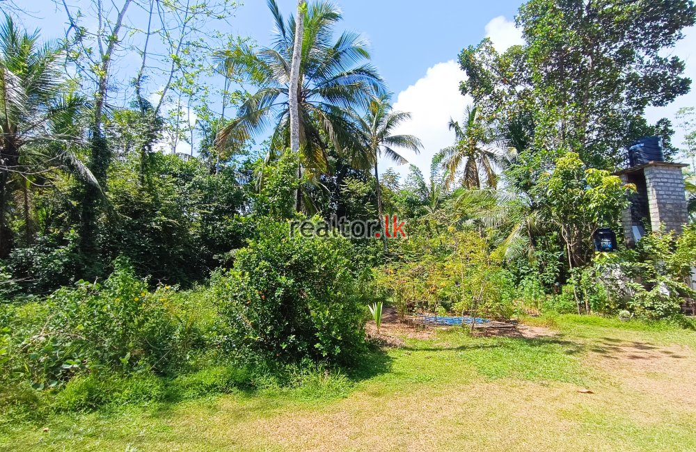 Commercial Land For Rent At Wadduwa