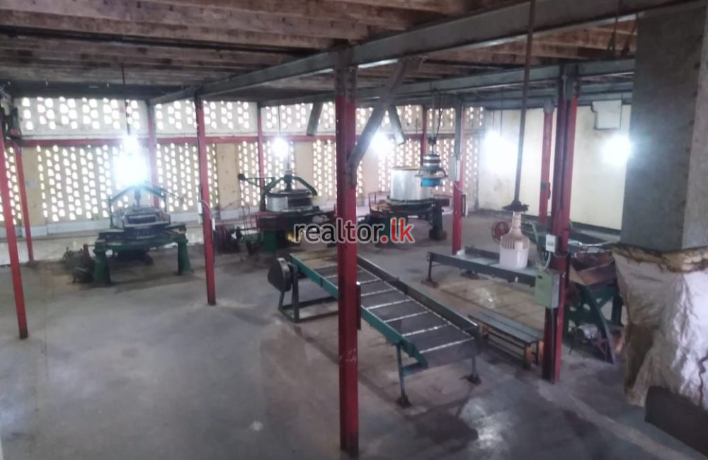 Tea  Estate  With Factory For Sale