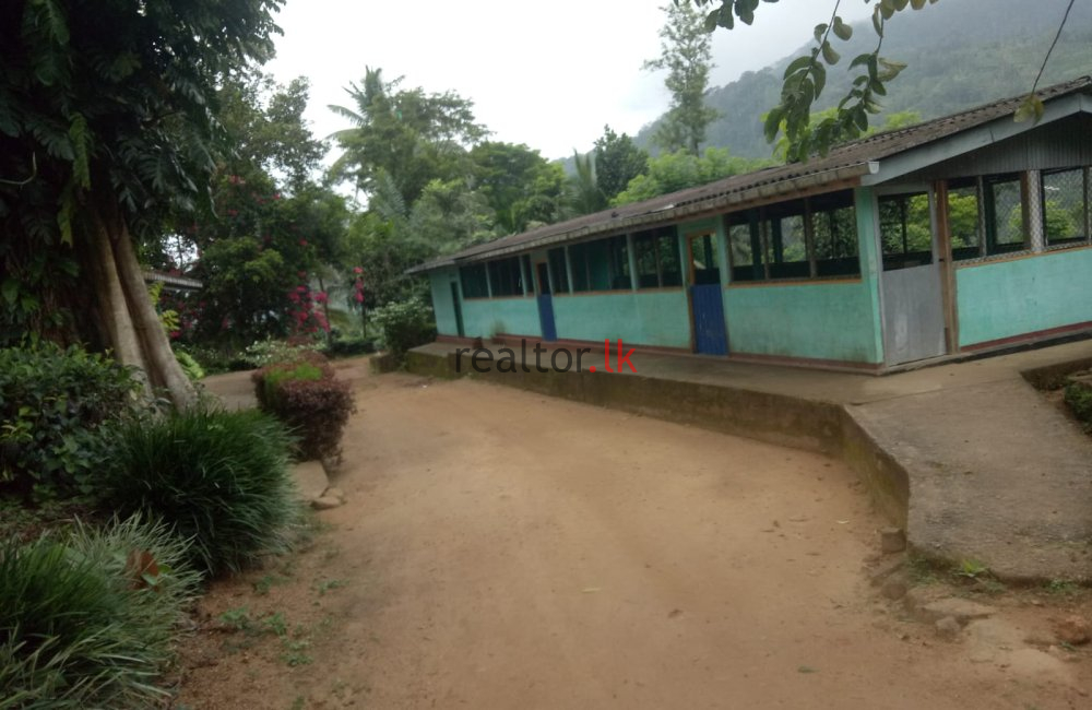 Tea Estate For Sale At Deniyaya