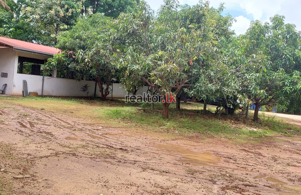 Factory For Sale At Kurunegala Pilessa