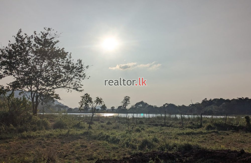 5.5 Acres Land For Sale At Dambulla