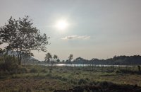 5.5 Acres Land For Sale At Dambulla