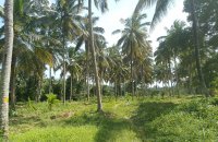 Lakefront Coconut Estate At Millawana Matale