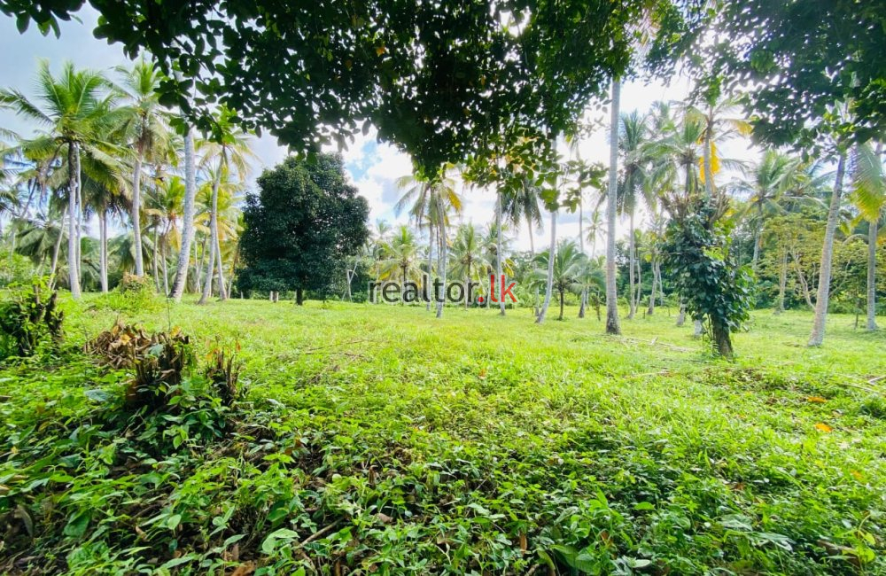 Land For Sale In Dikkumbura Road Ahangama